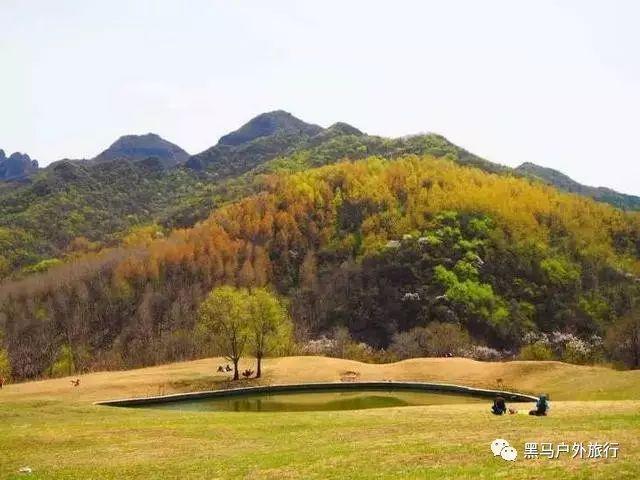 家庭环境对孩子影响大吗？游戏画面