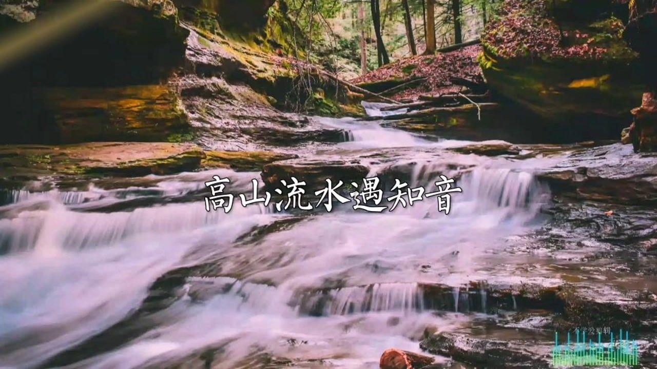组装机械章鱼龙