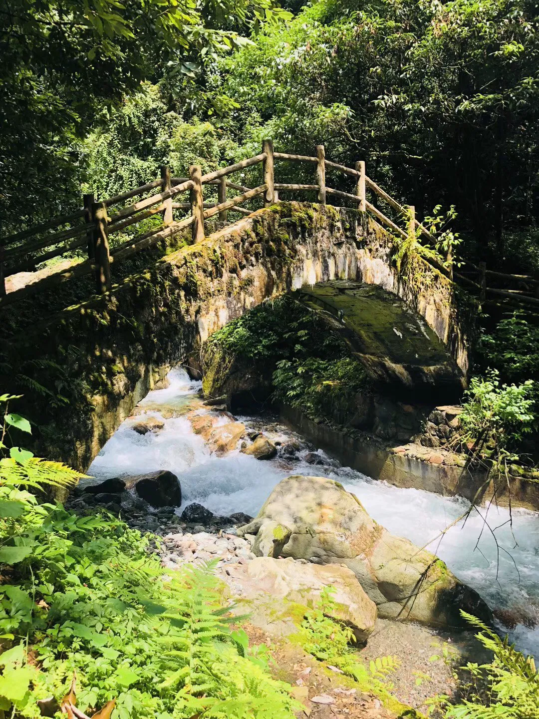 芭比娃娃的服装