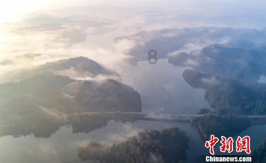 高级定制